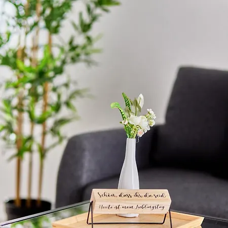 Neubau Luxus Penthouse - Netflix - Bbq Apartament Mannheim