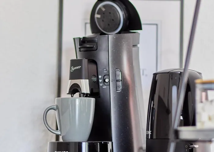 شقة Neubau Luxus Penthouse - Netflix - Bbq مانهايم